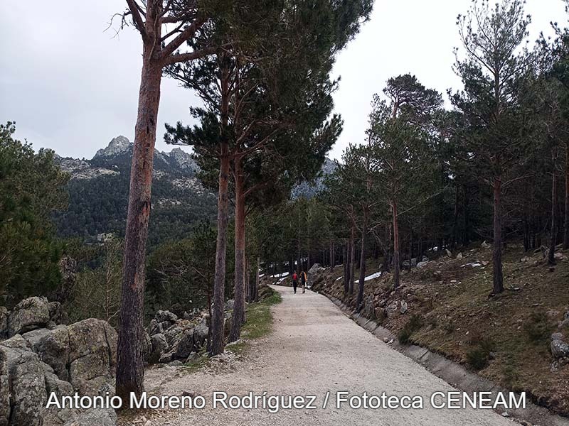 Sierra Norte de Guadarrama