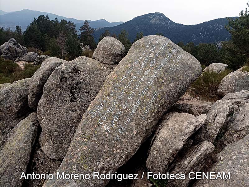 Sierra Norte de Guadarrama