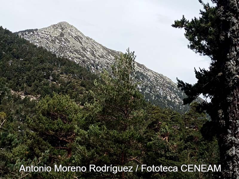 Sierra Norte de Guadarrama