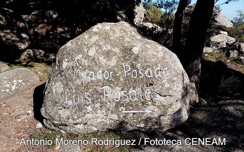 Sierra Norte de Guadarrama