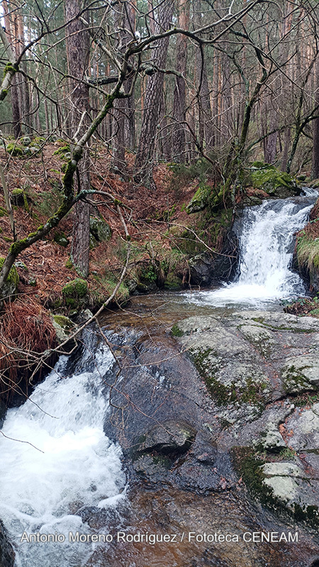 Sierra Norte de Guadarrama