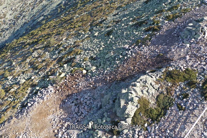 Sierra Norte de Guadarrama