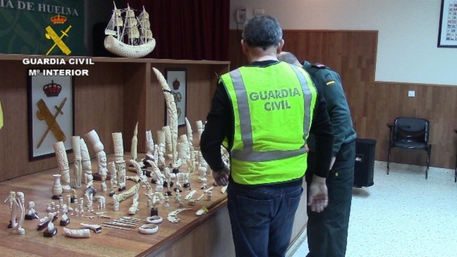 La Guardia Civil detiene a 59 personas en el marco de una Operación de Interpol contra el tráfico de especies.