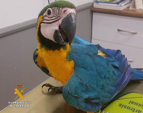 Las aves anteriores se encuentran dentro de la relación de especies amenazas, si bien los ocho ejemplares de loro gris de cola roja y dos loros vinaceo se consideran especies en peligro de extinción según el Convenio CITES. El resto de las aves sustraídas, aun no estando necesariamente amenazadas de extinción, podrían llegar a estarlo si no se realiza un control estricto de su comercio