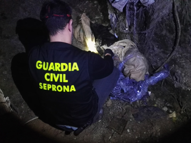 La Guardia Civil investiga al propietario de dos perros muertos por supuesto ahorcamiento