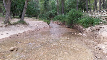 Muestreo en aguas de baño. 24/06/20 Arroyo de los Molinos (Jaén)
