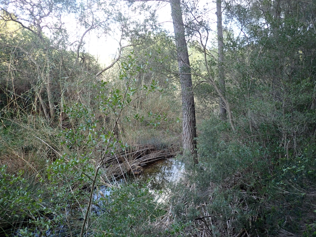 Reserva Natural Fluvial Torrent des Verger - Jondal