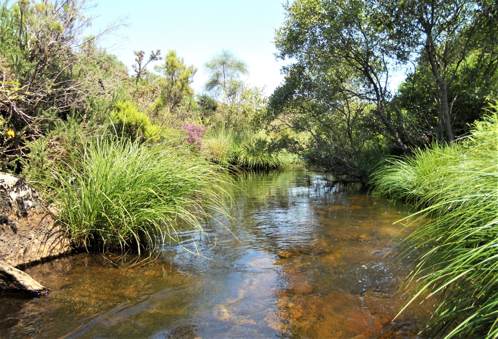 Reserva Natural Fluvial del Río Masma. Zona: Masma II