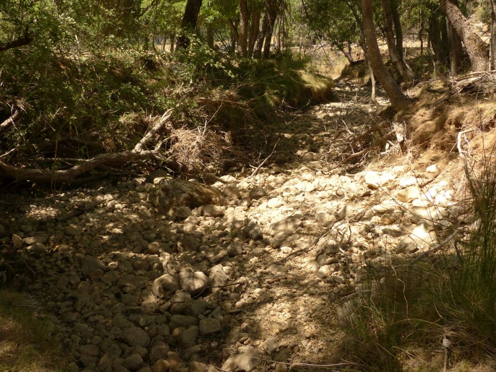 Lecho de cantos rodados dejado al descubierto en la reserva natural fluvial Río Guadalentín durante la época de estiaje