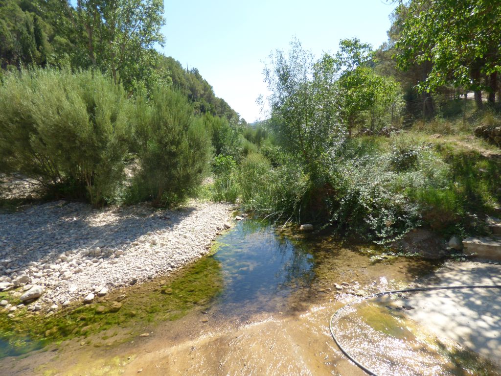 Depósitos de cantos y gravas en remansos en el sector próximo a la cola del embalse de Ulldecona en la reserva natural fluvial Río Cenia