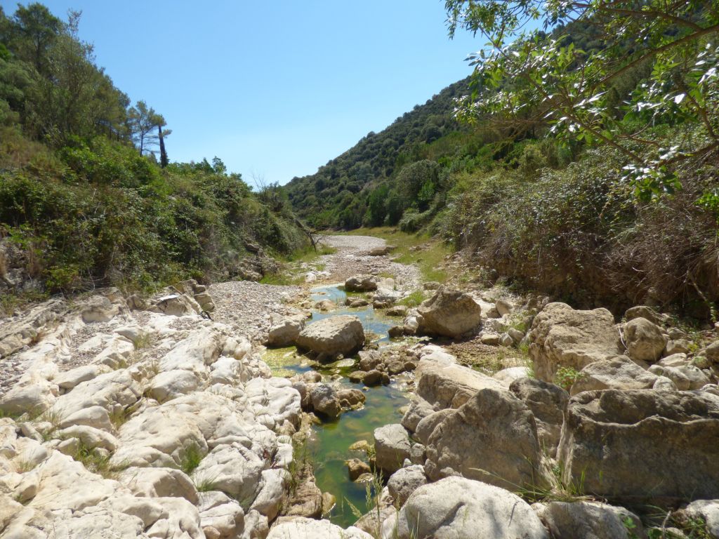 Cauce labrado en roca en la reserva natural fluvial Río Cenia