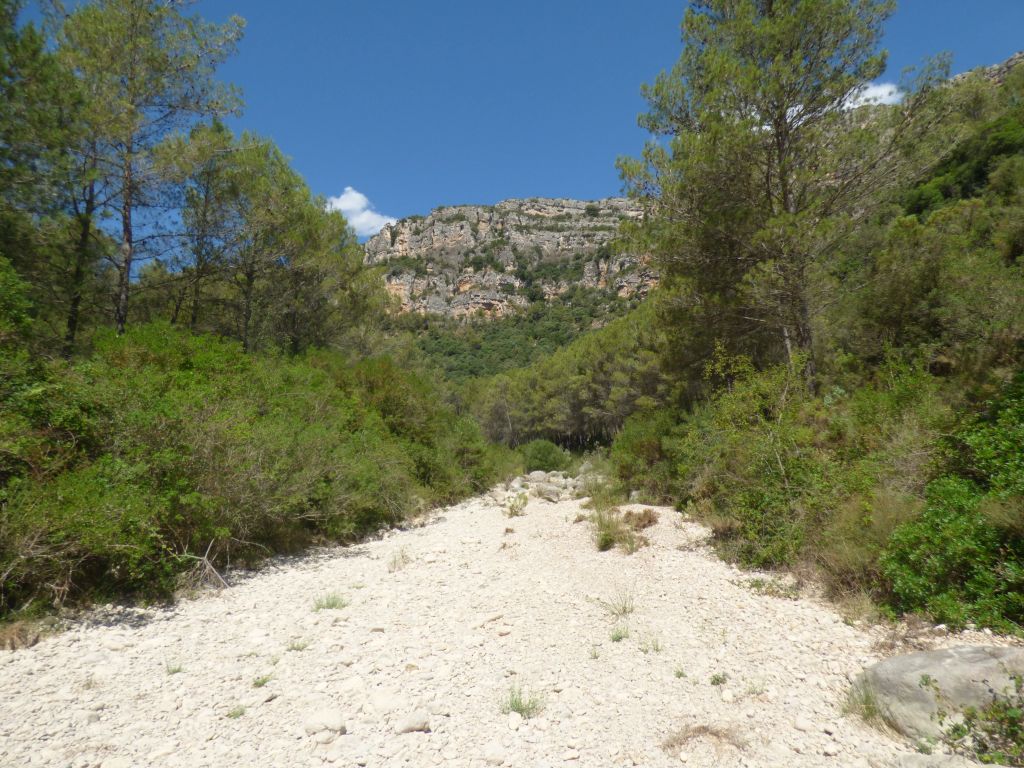Cauce en estiaje de la reserva natural fluvial Río Cenia