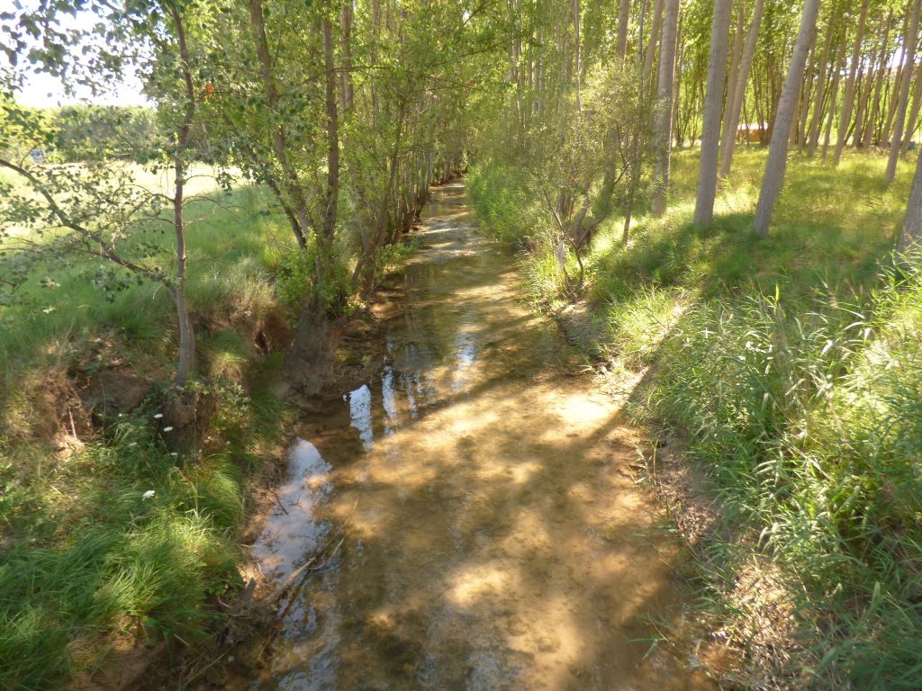Cauce recto en la reserva natural fluvial Río Alfambra