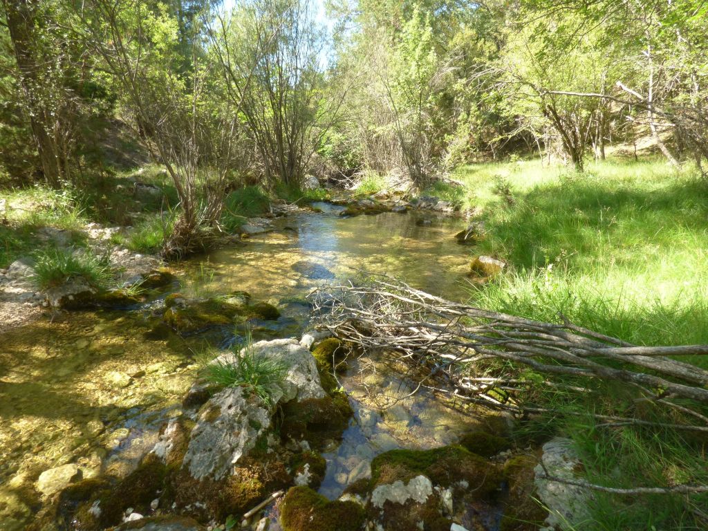Bloques de piedra transversales al cauce en la reserva natural fluvial Arroyo de Almagrero