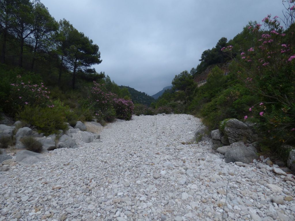 Rambla de la reserva natural fluvial Río Jalón con un cauce amplio y despejado formado por con un lecho de cantos y gravas 