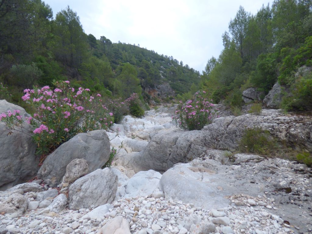 Afloramientos de roca madre y grandes bloques que dan lugar a rápidos y saltos en la reserva natural fluvial Río Jalón