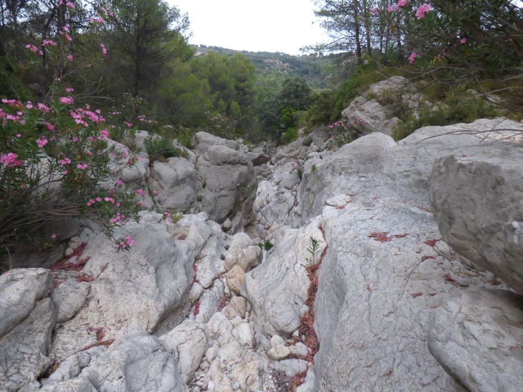 Cauce labrado sobre sustrato rocoso reserva natural fluvial río Jalón