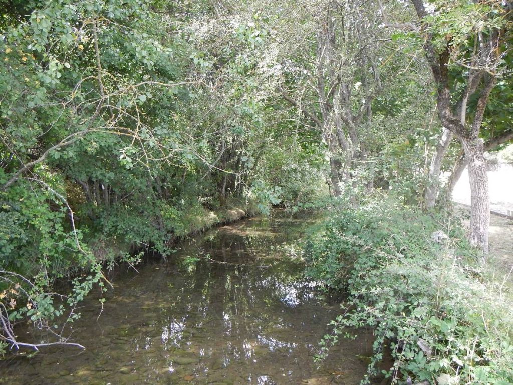 Tramo de aguas lénticas en la reserva natural fluvial Río Najerilla