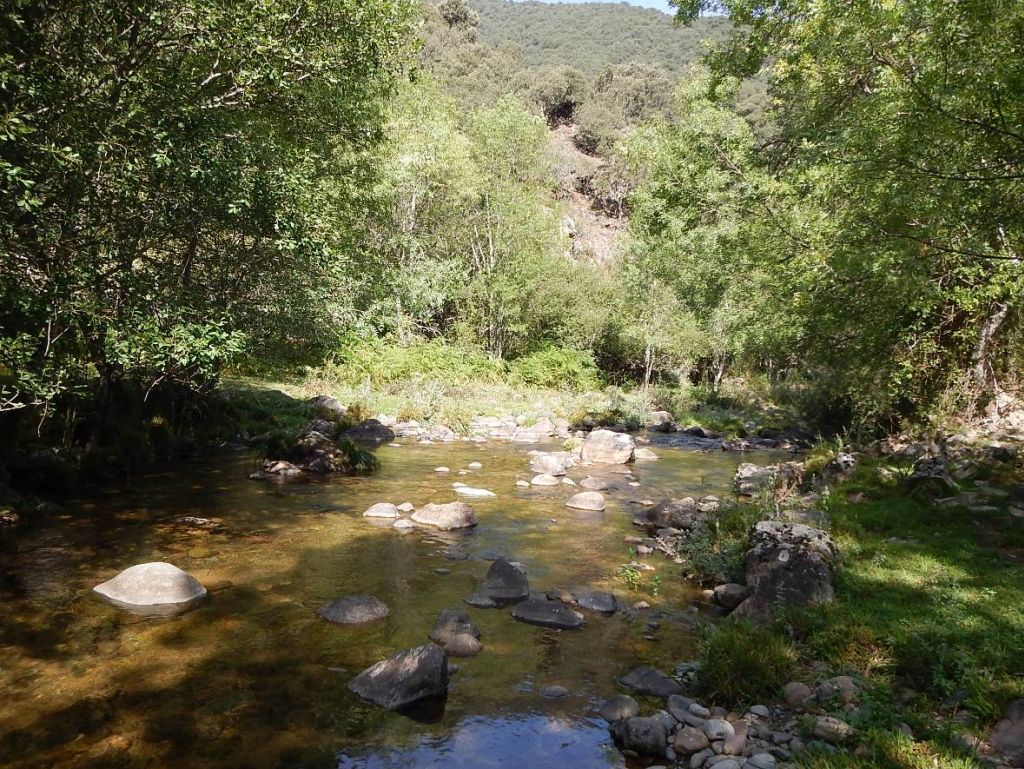 Remanso en la reserva natural fluvial Río Urbión