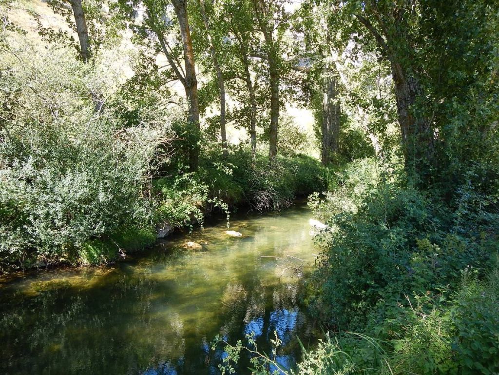 Aguas remansadas en la reserva natural fluvial Río Rudrón