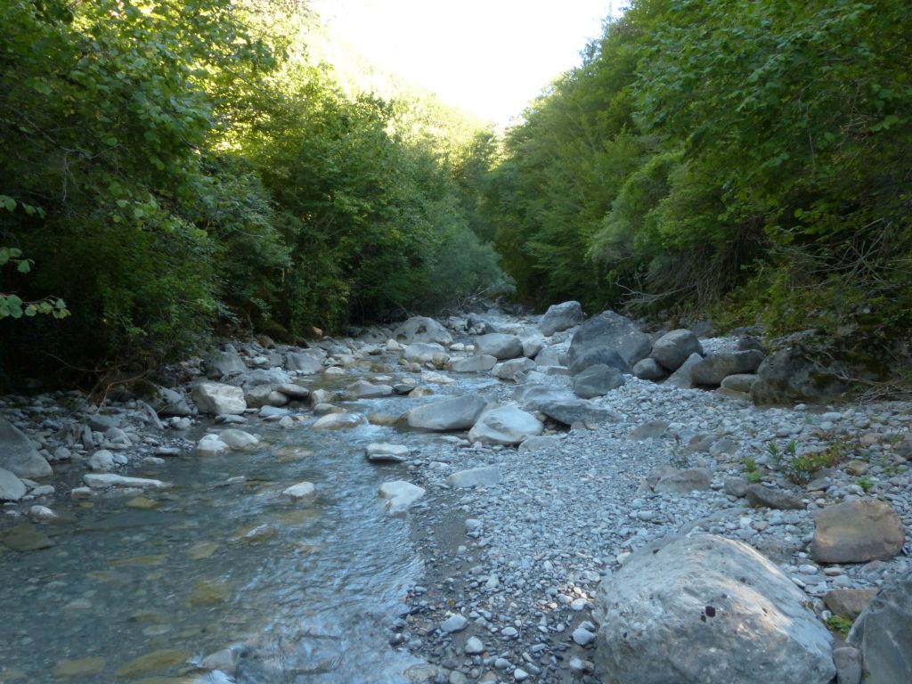 Diferentes estratos de vegetación de ribera imbricados en la reserva natural fluvial Río Irués