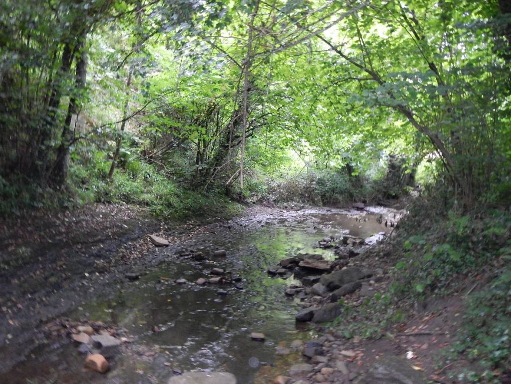 Cauce en aguas bajas en la reserva natural fluvial Río Santa Engracia