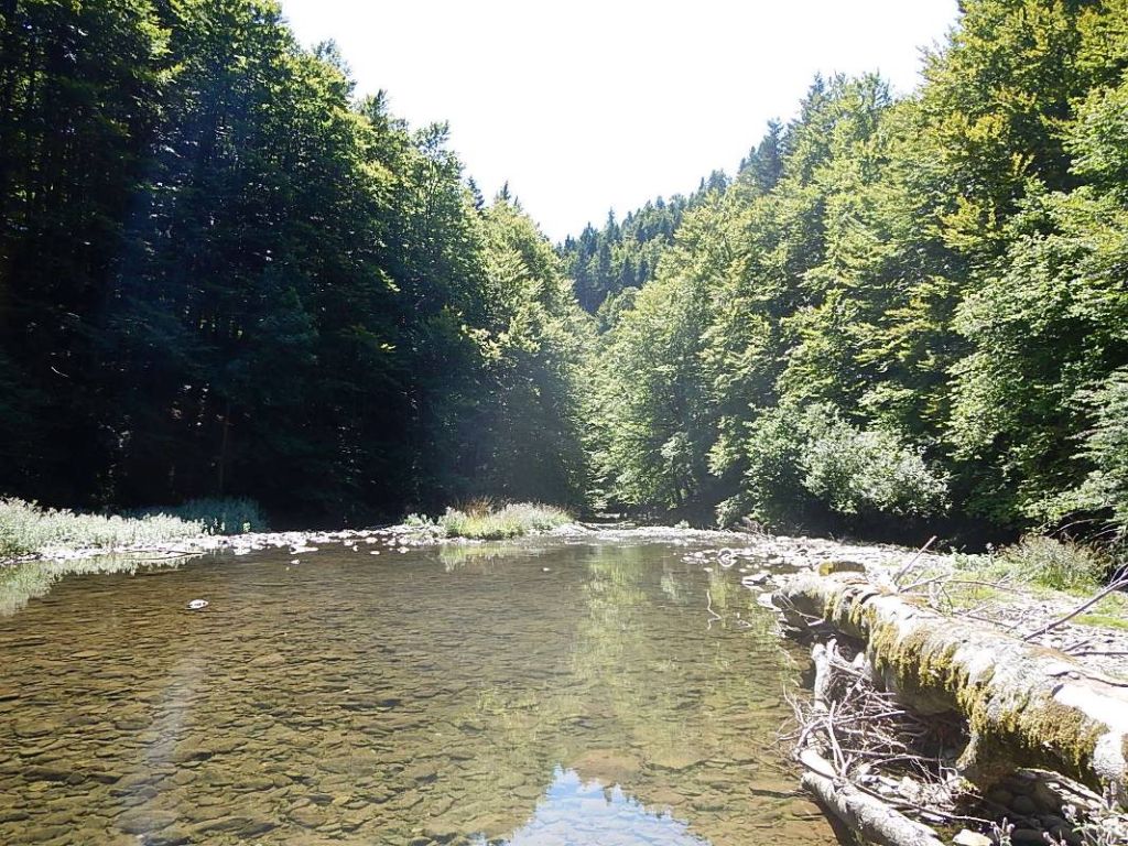 Aguas remansadas en la reserva natural fluvial Río Urbelcha