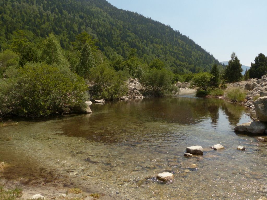 Aguas remansadas en la reserva natural fluvial Río Noguera - Ribagorzana