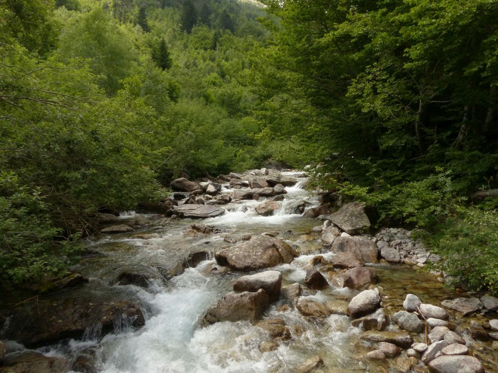 Tramo de rápidos continuos en la reserva natural fluvial Río Salenca