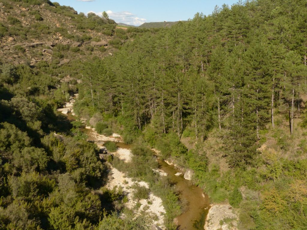 Tramo de montaña mediterránea calcárea de la reserva natural fluvial Río Isuala
