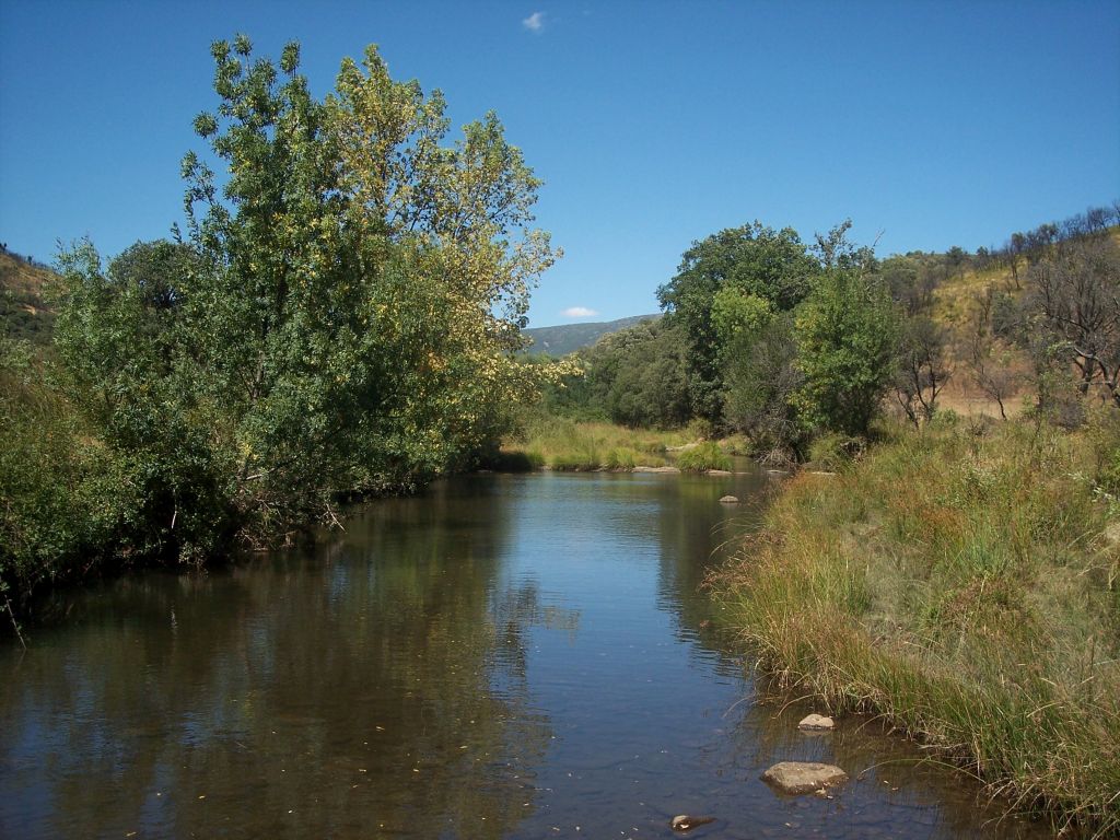 Aspecto de la ribera de la reserva natural fluvial Ríos Estena, Estenilla y Estomiza en las cercanías de Navas de Estena