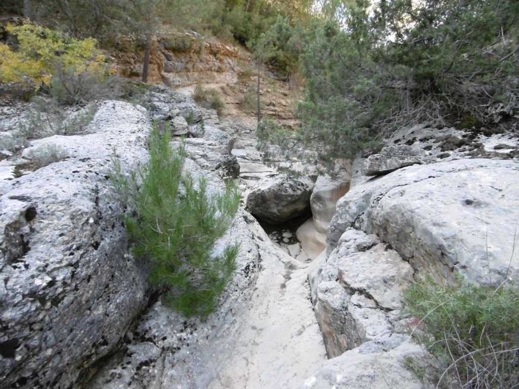 Cauce labrado sobre sustrato rocoso en la reserva natural fluvial Arroyo de los Collados y arroyo Escudero