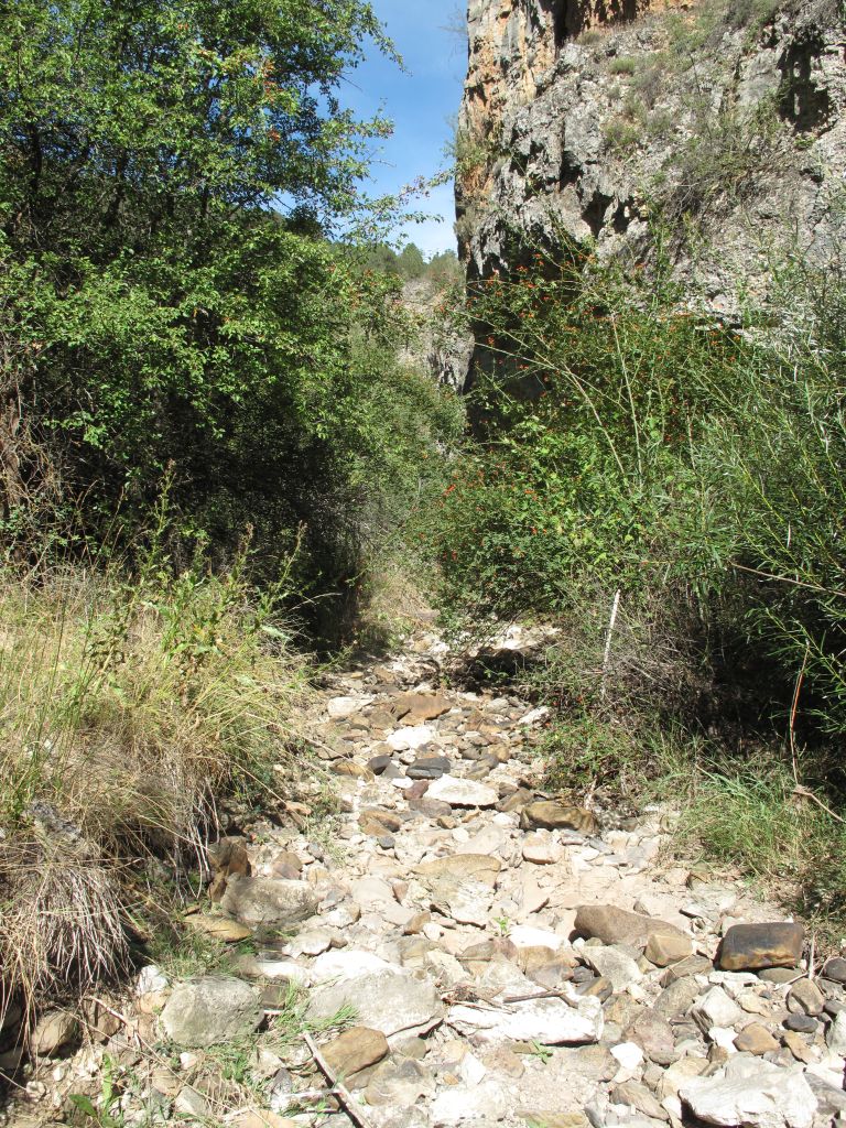 Cauce formado por cantos en la reserva natural fluvial Río Noguera