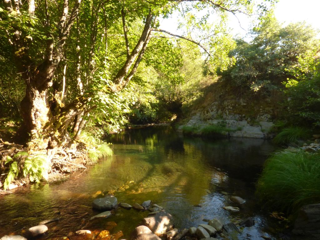 Aguas remansadas en la reserva natural fluvial Río Burbia I