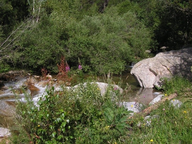 Reserva Natural Fluvial Cabecera del Ter