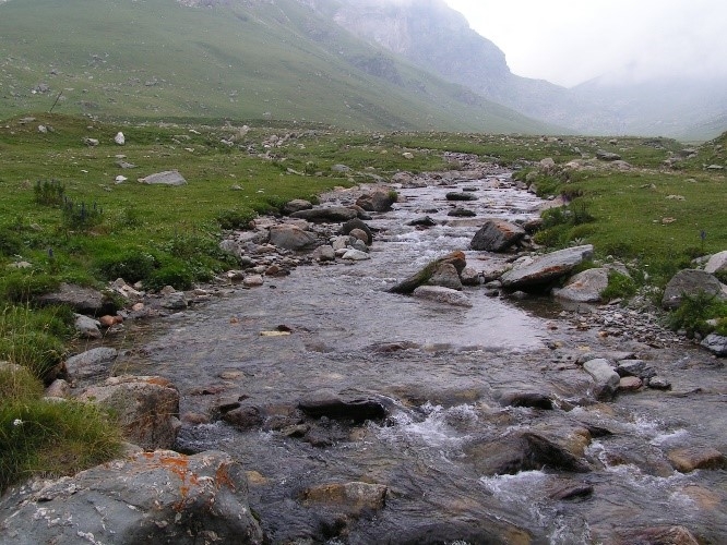 Reserva Natural Fluvial Torrente de Pla de Rus