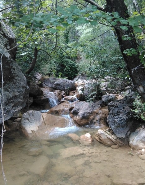 Reserva Natural Fluvial Cabecera de Peguera