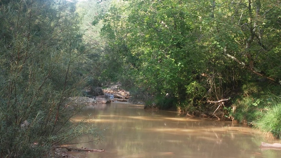 Reserva Natural Fluvial Rec de la Riba