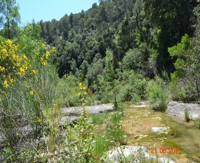 Reserva Natural Fluvial Gorgues del Foix