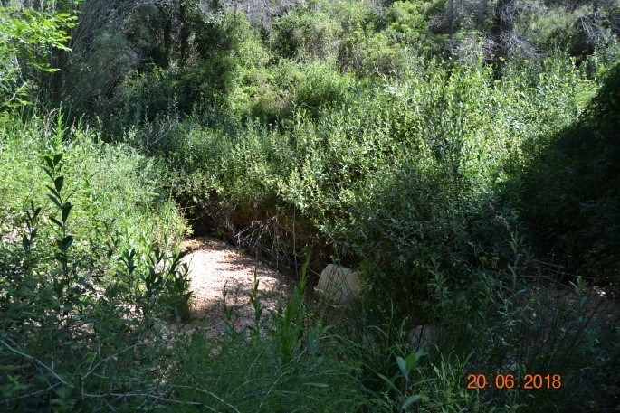 Reserva Natural Fluvial Cabecera del Torrente de Rupit
