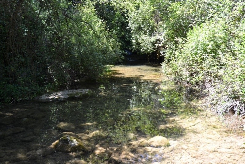 Reserva Natural Fluvial Cabecera de la Glorieta