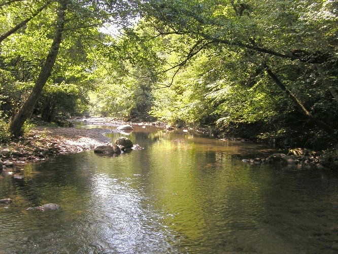 Reserva Natural Fluvial Rieras de Beget y Sant Aniol