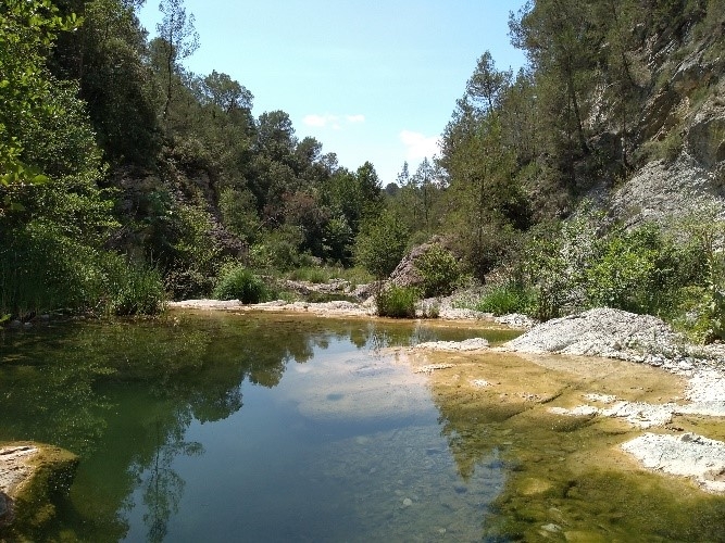 Reserva Natural Fluvial Riera de Borró