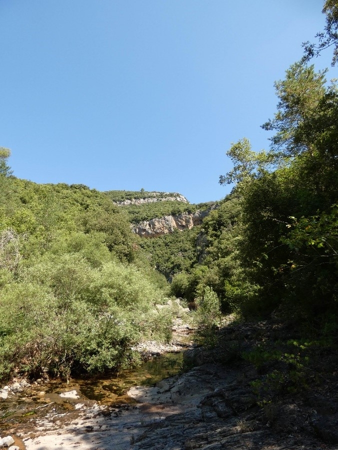 Reserva Natural Fluvial Cabecera de la Muga