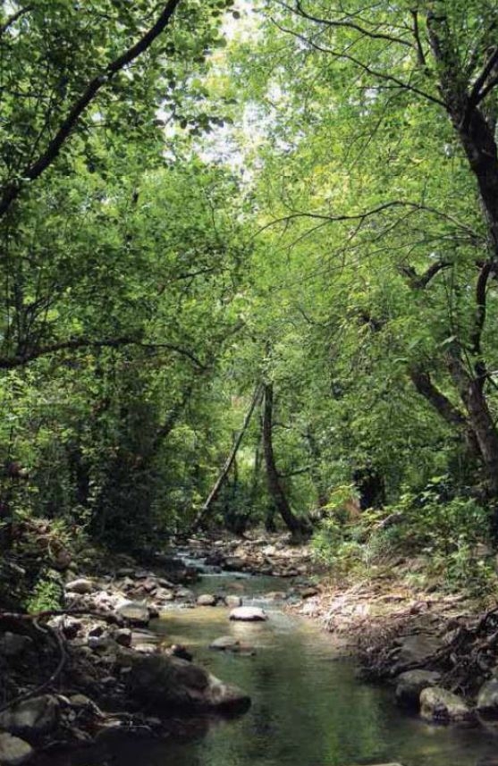 Reserva Natural Fluvial Raudal