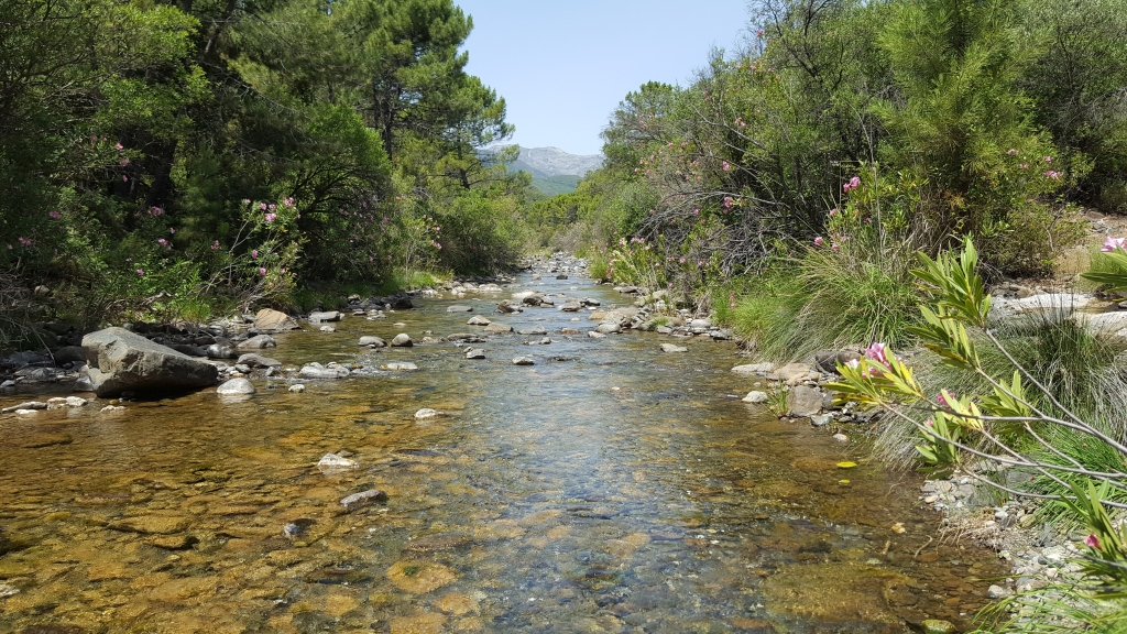 Reserva Natural Fluvial Cabecera Verde de Marbella