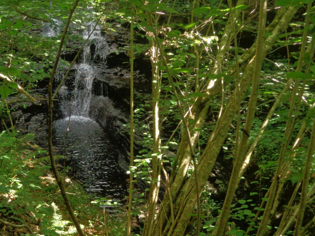 Cascada en la reserva natural fluvial Arroyo de Viaña