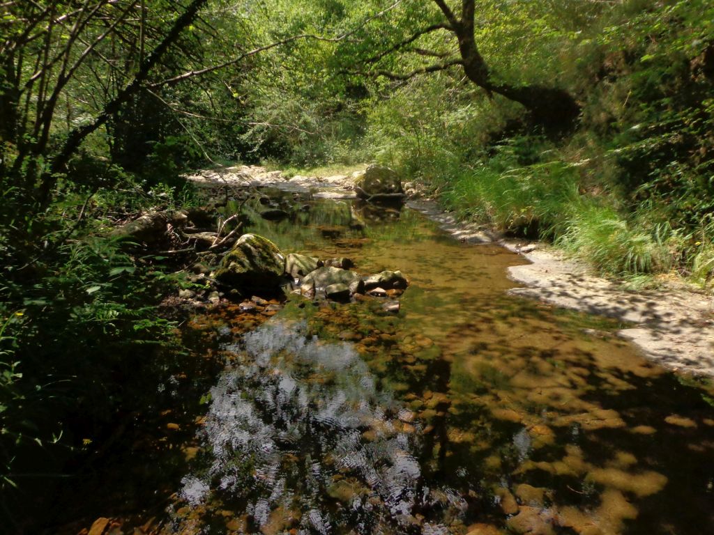 Aguas remansadas en la reserva natural fluvial Arroyo de Viaña