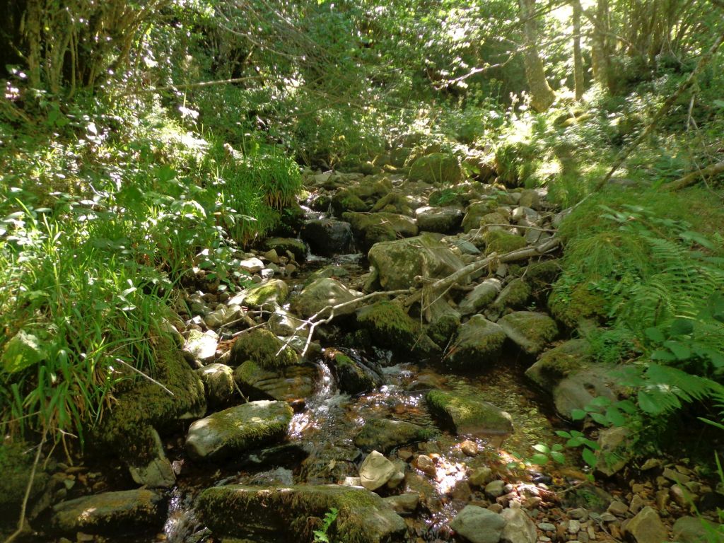 Cauce con bloques en la reserva natural fluvial Río de Ortigal