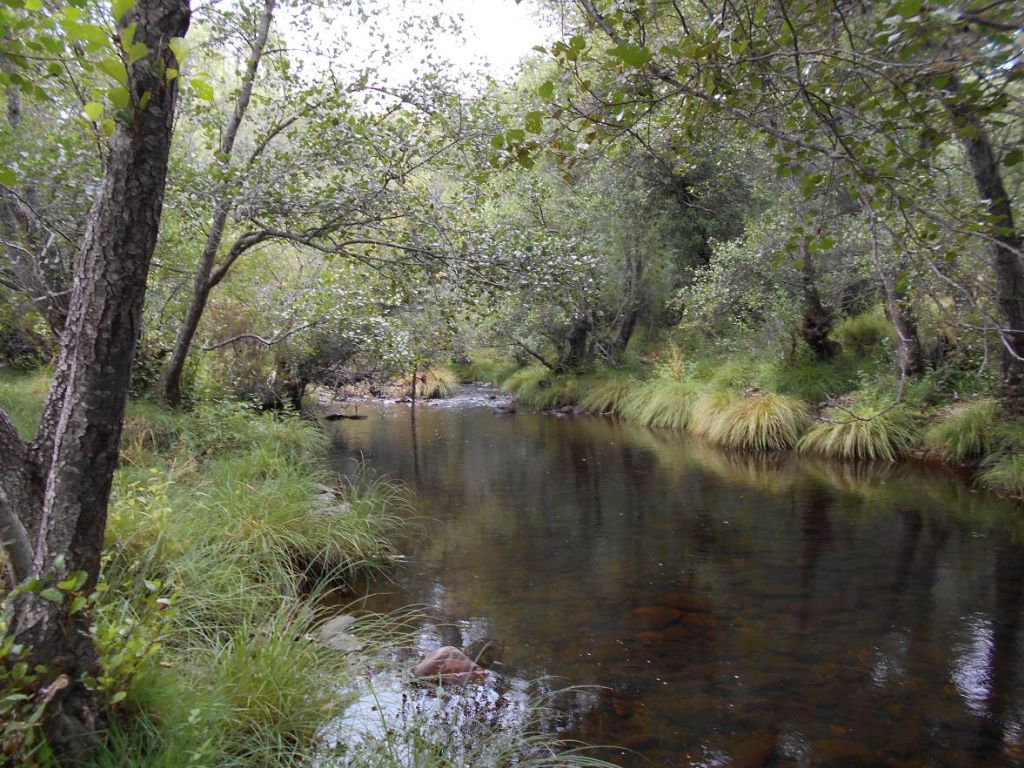 Zona de remanso en la reserva natural fluvial Río Negro y afluentes